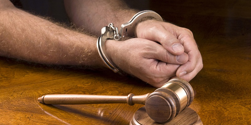 سید میثم رضویه
سوده مینوئی