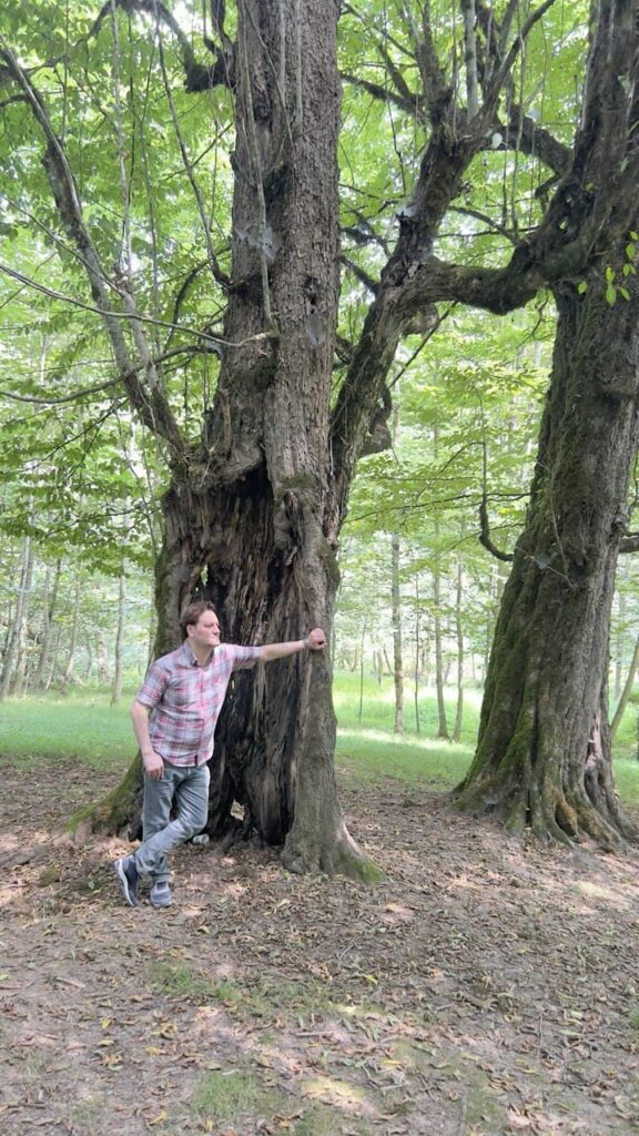 حق ریشه یا نسق زراعانه، از جمله حقوق مالی و عرفی زارعین است که در زمینها و باغهای کشاورزی ایران ایجاد میشود و ارزش آن به سابقه تصرف، آبادانی زمین، نوع درختان و محصولات، سرمایهگذاری زارع و عرف محل بستگی دارد. این حق در رویه قضایی و آرای دیوان عالی کشور به رسمیت شناخته شده و قابلیت مطالبه، توقیف، انتقال و حتی ارث بردن دارد.در دعاوی حق ریشه، کارشناسی دقیق، بررسی اسناد، قراردادها و در برخی موارد تصاویر هوایی یا ماهوارهای نقش تعیینکننده در تعیین مبلغ حق ریشه دارد. همچنین، رعایت مقررات قانونی، آرای اصراری دیوان عالی کشور و عرف محلی، راهگشای حل اختلافات بین مالک و زارع است.با توجه به پیچیدگیهای حقوقی و عرفی این دعاوی، همکاری با وکیل متخصص دعاوی ملکی و حق ریشه نه تنها از اتلاف وقت و هزینه جلوگیری میکند، بلکه تضمین میکند که حقوق قانونی زارع یا مالک به طور کامل محقق شود.اگر شما مالک، زارع یا مستأجر ملکی کشاورزی هستید و نیازمند مطالبه حق ریشه یا دفاع در برابر خلع ید هستید، دفتر وکالت کاشان با تجربه و تخصص چندین ساله در این حوزه، آماده ارائه مشاوره، پیگیری پرونده و تضمین حقوق شماست.📞 تماس با ما: ۰۹۱۳۳۶۳۷۳۶۷
🏢 دفتر وکالت کاشان، بلوار دانش، مجتمع امین، طبقه ۴