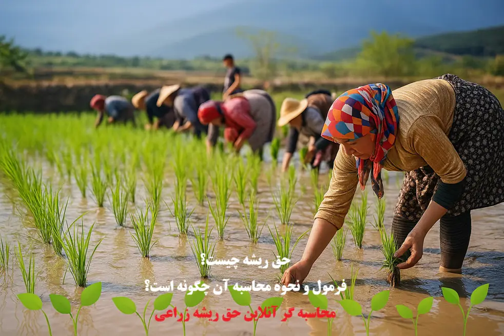 حق ریشه یا نسق زراعانه، از جمله حقوق مالی و عرفی زارعین است که در زمینها و باغهای کشاورزی ایران ایجاد میشود و ارزش آن به سابقه تصرف، آبادانی زمین، نوع درختان و محصولات، سرمایهگذاری زارع و عرف محل بستگی دارد. این حق در رویه قضایی و آرای دیوان عالی کشور به رسمیت شناخته شده و قابلیت مطالبه، توقیف، انتقال و حتی ارث بردن دارد. در دعاوی حق ریشه، کارشناسی دقیق، بررسی اسناد، قراردادها و در برخی موارد تصاویر هوایی یا ماهوارهای نقش تعیینکننده در تعیین مبلغ حق ریشه دارد. همچنین، رعایت مقررات قانونی، آرای اصراری دیوان عالی کشور و عرف محلی، راهگشای حل اختلافات بین مالک و زارع است. با توجه به پیچیدگیهای حقوقی و عرفی این دعاوی، همکاری با وکیل متخصص دعاوی ملکی و حق ریشه نه تنها از اتلاف وقت و هزینه جلوگیری میکند، بلکه تضمین میکند که حقوق قانونی زارع یا مالک به طور کامل محقق شود. اگر شما مالک، زارع یا مستأجر ملکی کشاورزی هستید و نیازمند مطالبه حق ریشه یا دفاع در برابر خلع ید هستید، دفتر وکالت کاشان با تجربه و تخصص چندین ساله در این حوزه، آماده ارائه مشاوره، پیگیری پرونده و تضمین حقوق شماست. 📞 تماس با ما: ۰۹۱۳۳۶۳۷۳۶۷ 🏢 دفتر وکالت کاشان، بلوار دانش، مجتمع امین، طبقه ۴